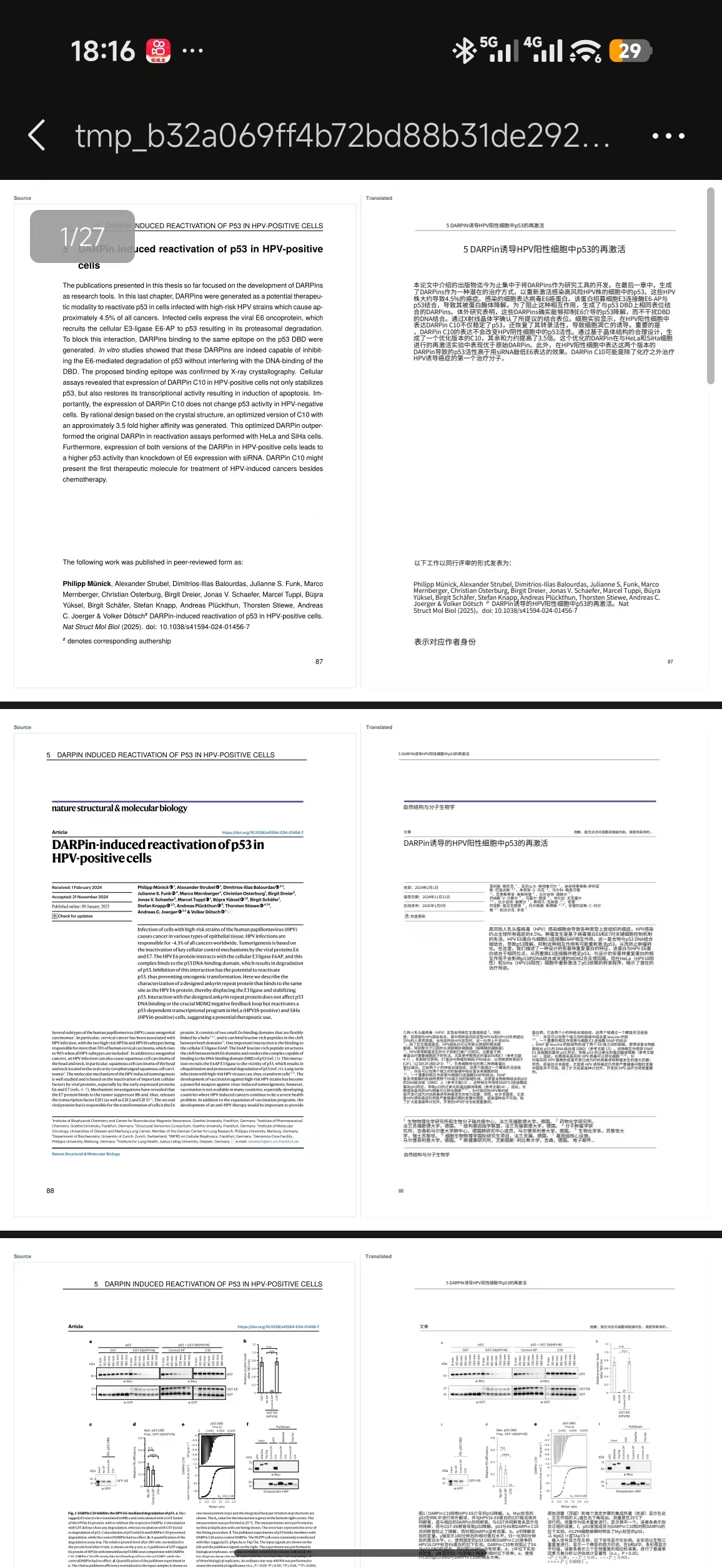 文档译排大师小程序 PDF 翻译结果预览截图